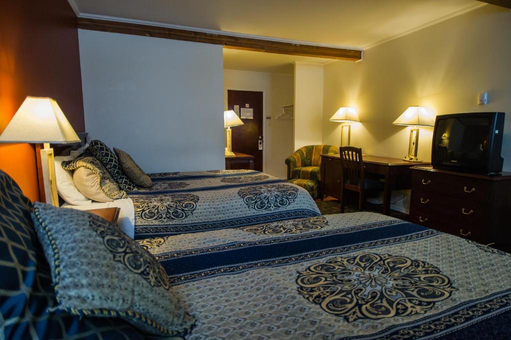 Grizz Hotel Revelstoke Værelse billede